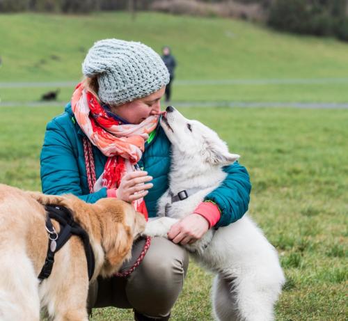 Szczenięta Białe Owczarek Szwajcarskie, White Swiss Shepherd puppy Agnieszka Kaczmarek Clockwork Shepherd 01