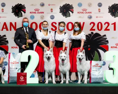 euro Dog Show FCI Clockwork shepherd  best breeding couple brace best show europejska wystawa psów 