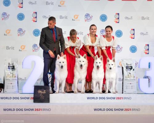 World Dog Show FCI Clockwork shepherd IZBB best kennel best show wystawa psów światowa