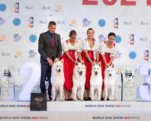 World Dog Show FCI Clockwork shepherd IZBB best kennel second place 2 show wystawa psów światowa